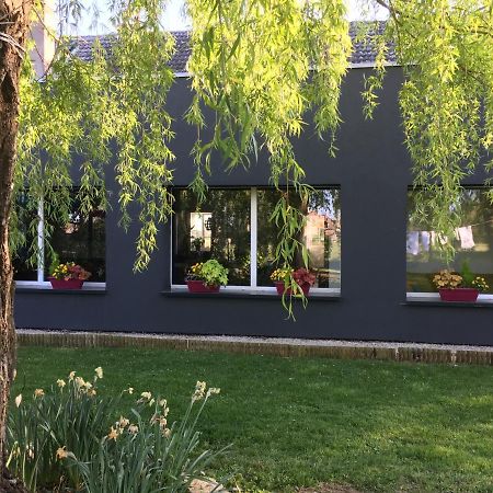 Agathe Et Titi Bed & Breakfast Marigny-les-Reullee Exterior photo